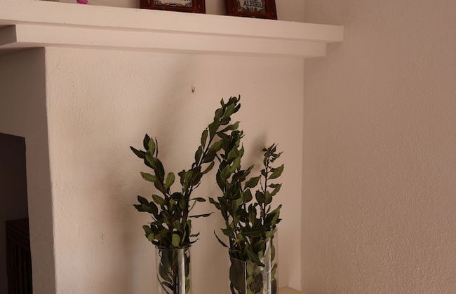 Herdade do Vidigal - Foto 36