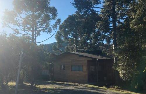 Casa em Urubici Sítio Pássaro D'água - Photo 4