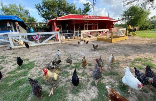 Bunk House The Roost Cabins - Foto 15