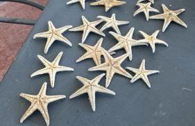 La Casa al Mare di Giulia - Foto 28