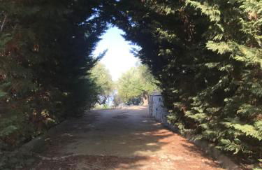 Mountain House near Pyrgos Ilias - Photo 14