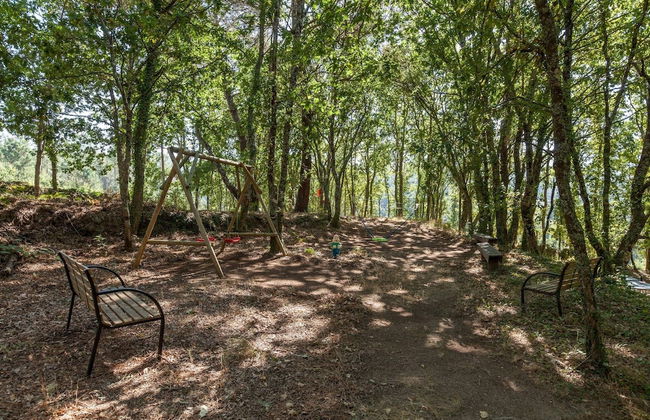 Forest House Casinha do Carvalhal - Foto 20