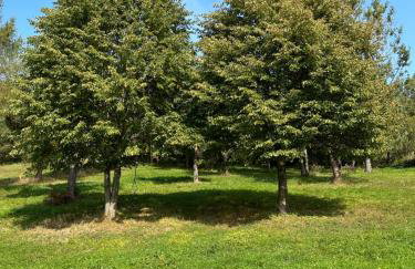 Jaki tu spokój Domek w Bieszczadach - Foto 29