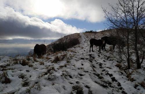CASA LINA citra 010031-LT-0009 - Foto 20