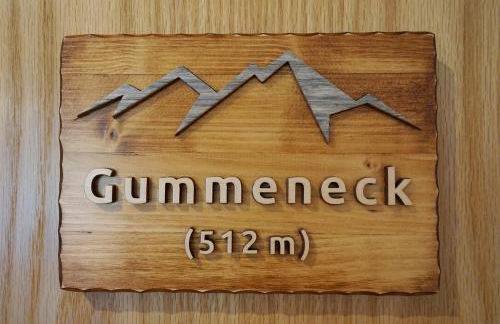 Gummeneck - Stubenhof, Black Forest - Foto 17