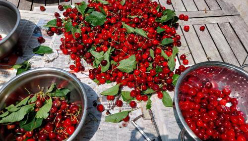 Gite du Prinas - Foto 4