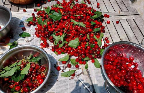 Gite du Prinas - Foto 4