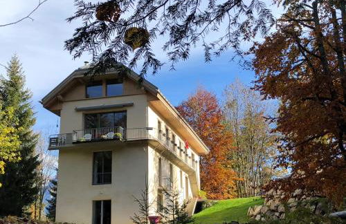 Le Moulin des Olirics - Photo 91