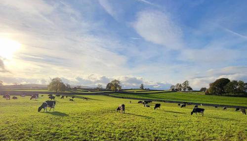 Meadow View - Photo 3