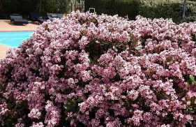 Agriturismo Bonzalone - Foto 13