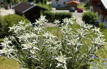 Ferienwohnung Klausgraben - Foto 7