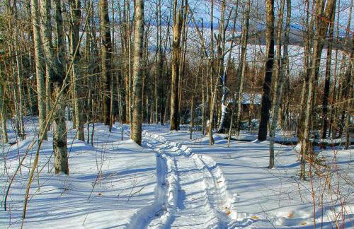 Eagle's Nest - Foto 26