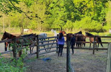 Maison lumineuse dans un cadre verdoyant - Foto 12