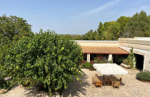 Masseria La Camardia - Foto 127