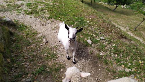 Quinta Souto Chão - Foto 2