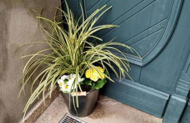 Ferienwohnung "modernes Wohnen im Herzen von Treuen" - Foto 10