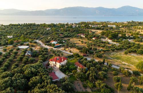 Georgias paradise villa and Garden - Foto 27