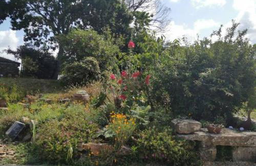 Les gîtes de Blandine - Foto 27