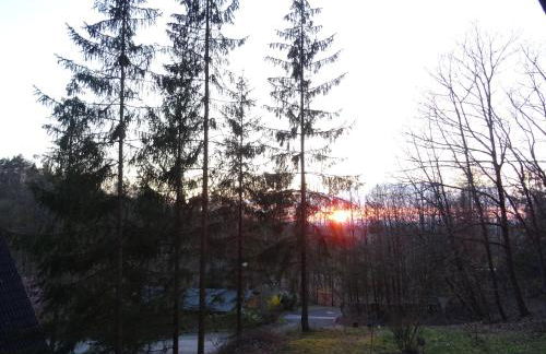 Waldhaus Agnes - Foto 19