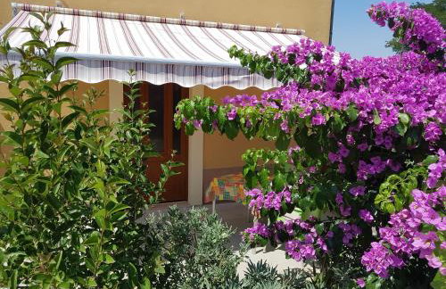 Apartman Mi - Foto 1