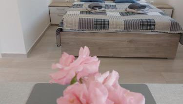 Apartmani Elisa - Foto 5