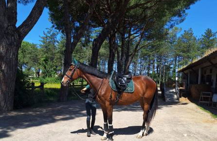 Podere Pozzo Fatato - Foto 53