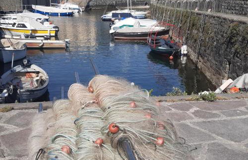 Appartement La Nicchia Vercana Comersee - Foto 34