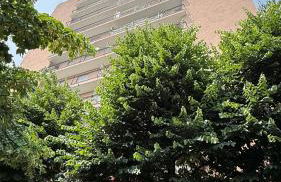 Residenze Italia - Photo 28