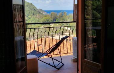 T2 vue mer & montagne Golfe de Porto-Ota - Foto 22