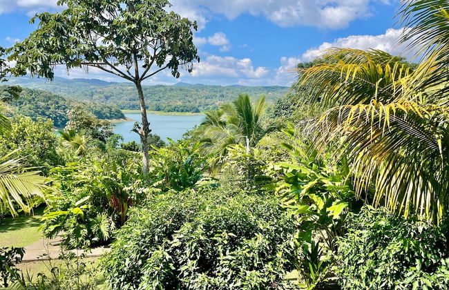 The Fruit Tree Garden Bromeliad Suite - Foto 10