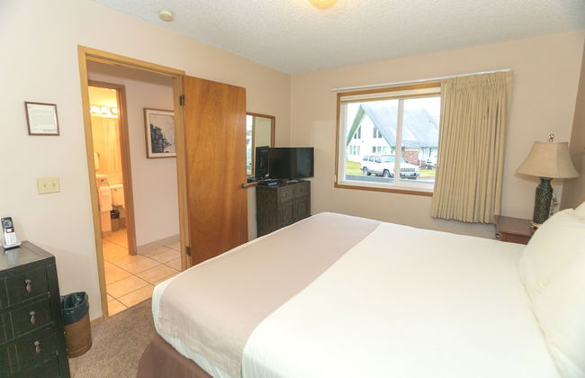 The Grey Gull - Foto 48