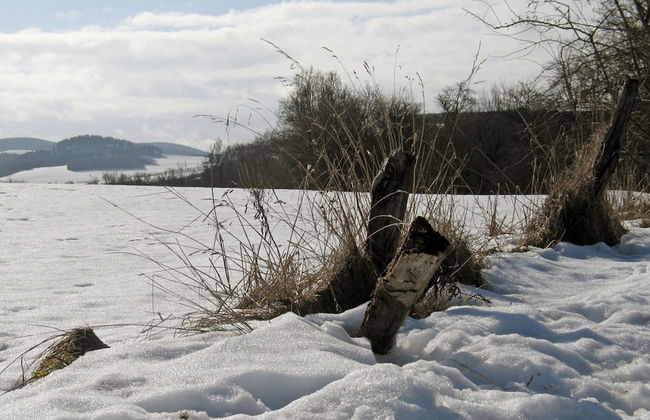 Holiday Home in Mielinghausen Near ski Area - Foto 32