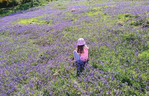 GlenHaven Holiday Accommodation - Foto 52