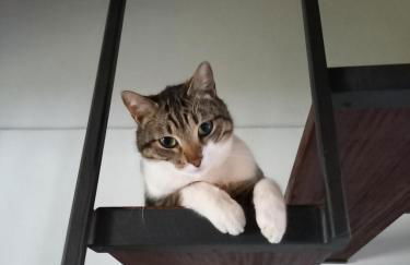 1780 Apartments - Foto 25