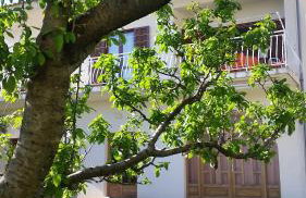 Apartments Vrisika-family apartment - Foto 1