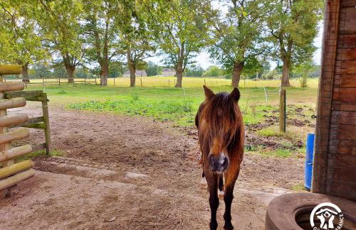 La Pichardière - Foto 44