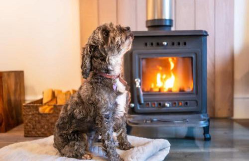 Sunny Side - in the Heart of Beer - Foto 10