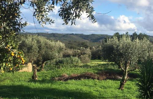 Monte Emitaj - Foto 11