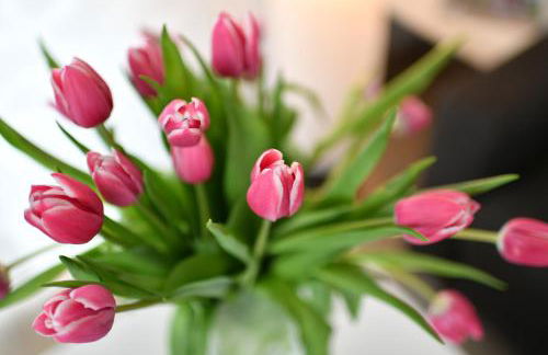 Dinkelbach Traumblick 3 E - Foto 11