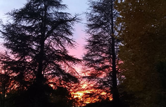 Les Favouilles, le gîte pour 15 personnes - Foto 1