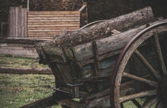 Le Gite du Ranch Normand - Photo 19