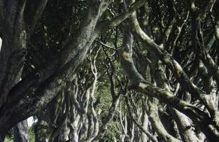 Carrick-a-Rede Luxury Retreat Ballintoy Causeway Coast - Foto 26