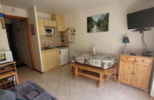 Studio 25m² au pied des montagnes, balcon, idéal pour 4 pers - FR-1-573-95 - Foto 8