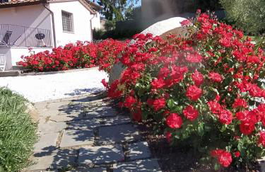 Le Macine di San Salvadore - Foto 7