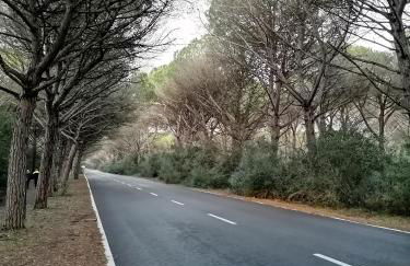 Stella Marina - Foto 24