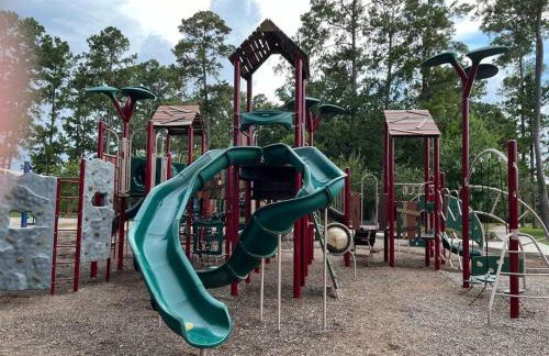 Magnolia Blooms - Foto 24