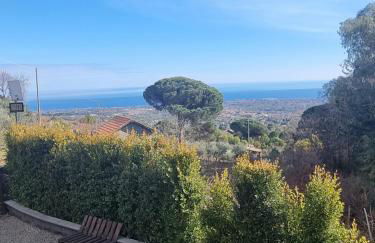 Villa Gorna - Foto 11