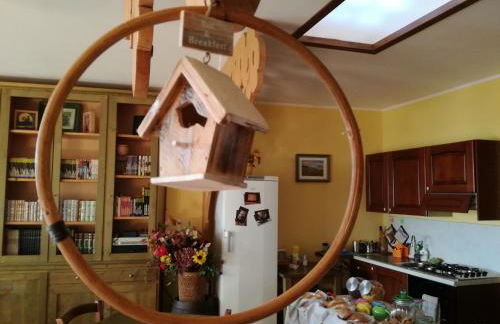 Le Storie di Bambu - Foto 3