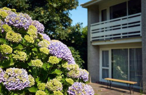 Little Pol - Foto 23