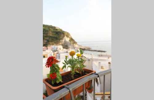 Casa Maadry - Foto 4